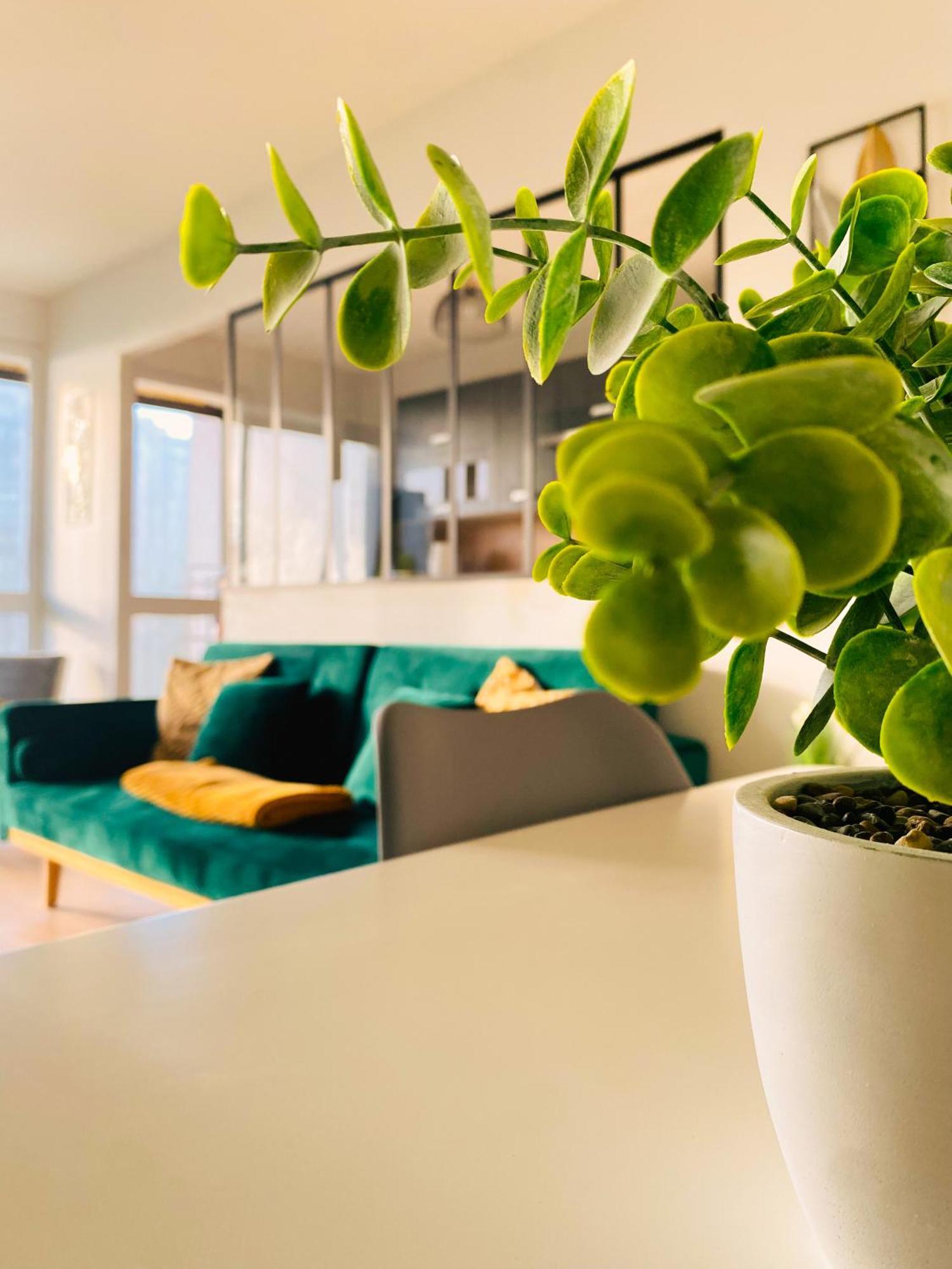 Apartment Spacieux Lumineux *